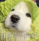 做了8年前端，细说那些曾经让你浴霸不能的后端