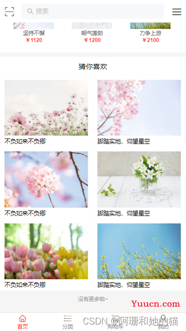 用vue3+vant4开发的简单小众电商购物项目模板（纯前端）