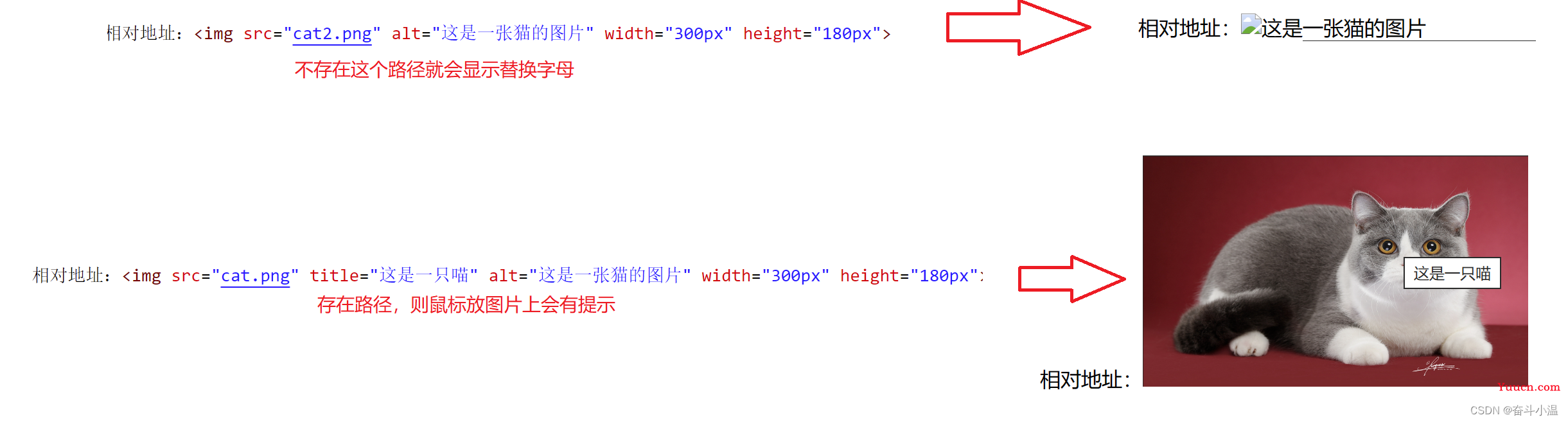 HTML【前端基础】