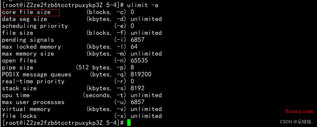 【Linux】信号的保存