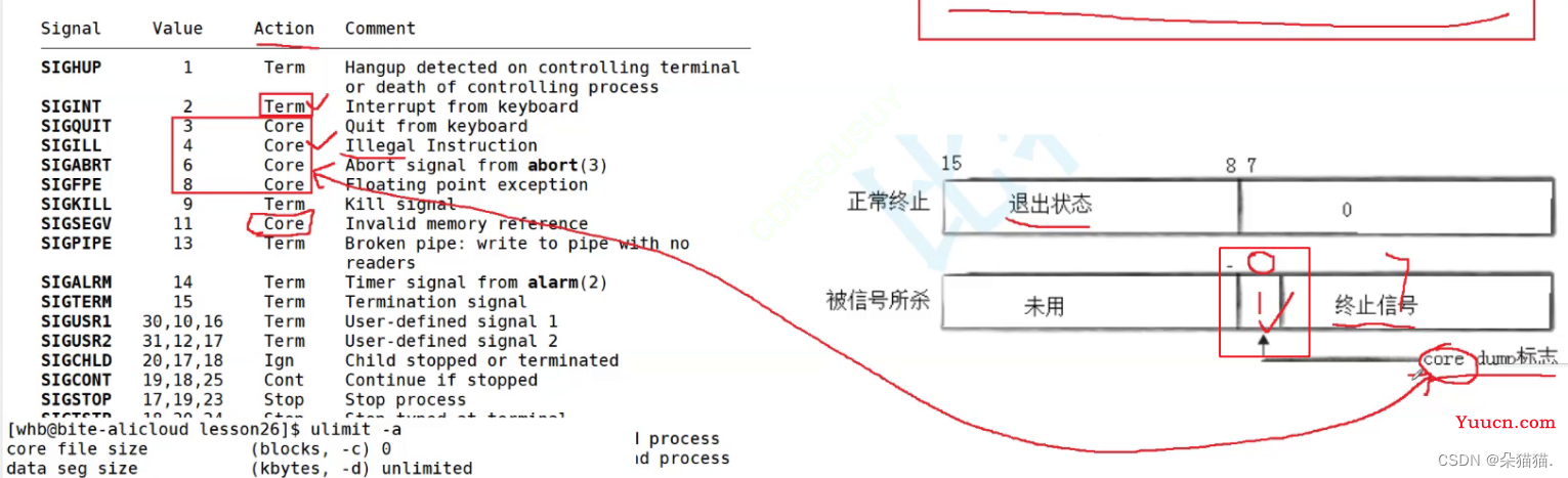 【Linux】信号的保存